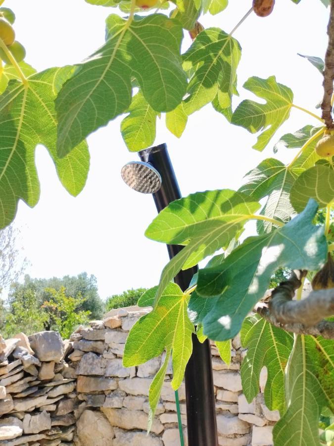 شقة Marti'S House In The Olive Grove فاجانا المظهر الخارجي الصورة