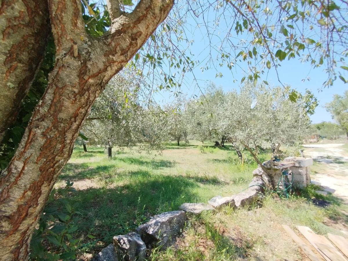شقة Marti'S House In The Olive Grove فاجانا المظهر الخارجي الصورة