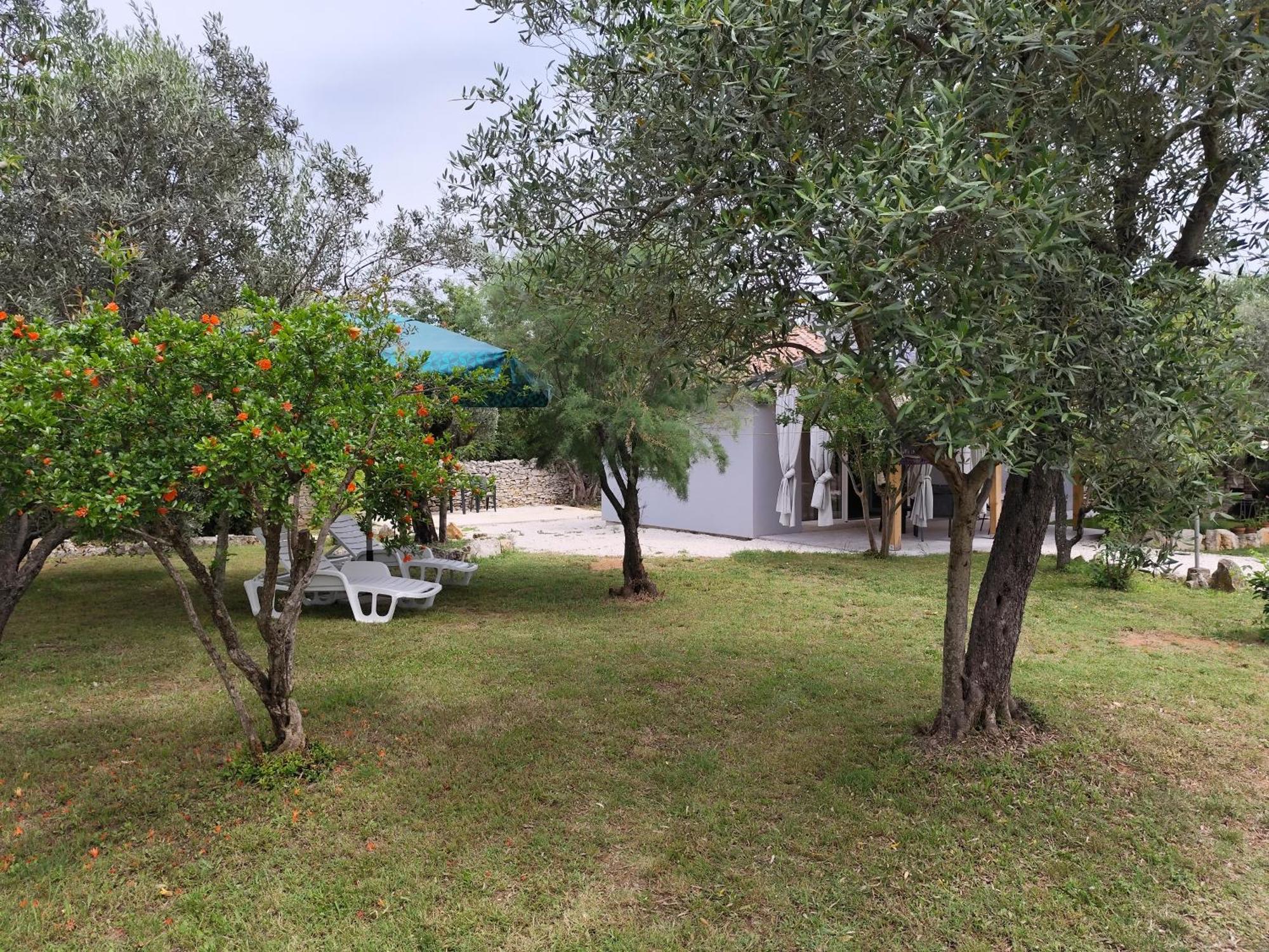 شقة Marti'S House In The Olive Grove فاجانا المظهر الخارجي الصورة